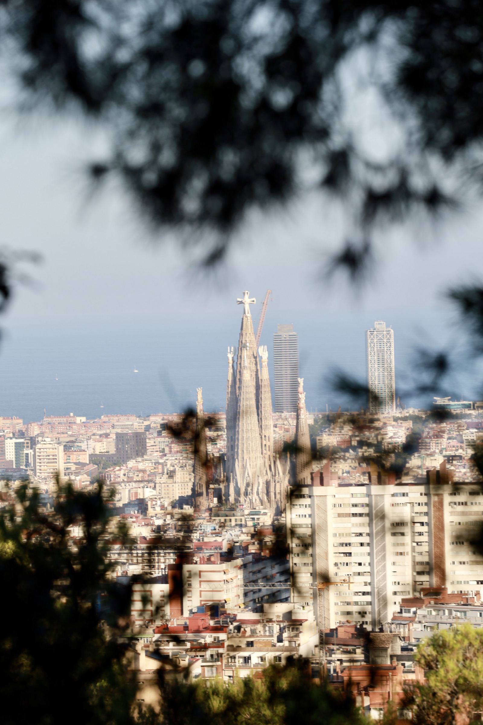 Photograph made in Barcelona, Spain, August 2026