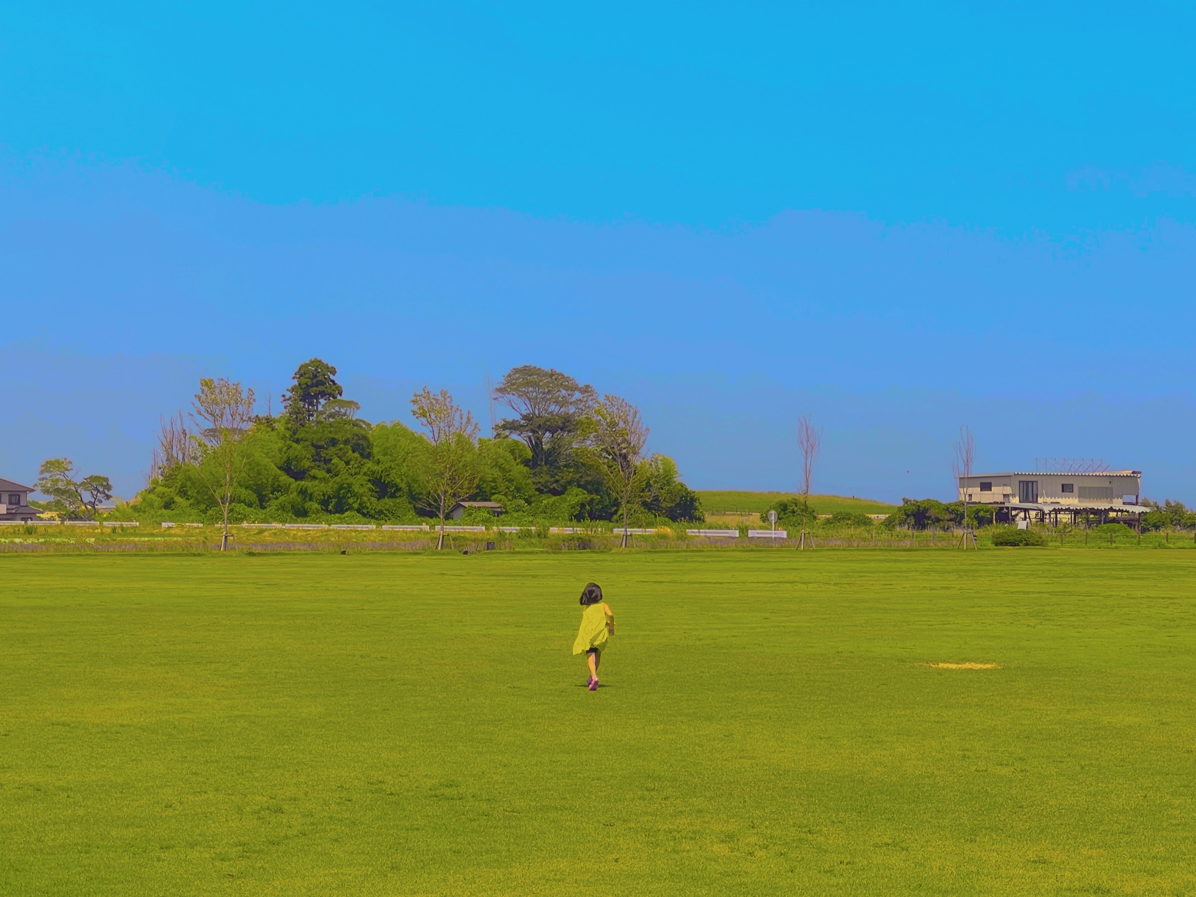Photograph made in Fukushima, Japan, July 2023
