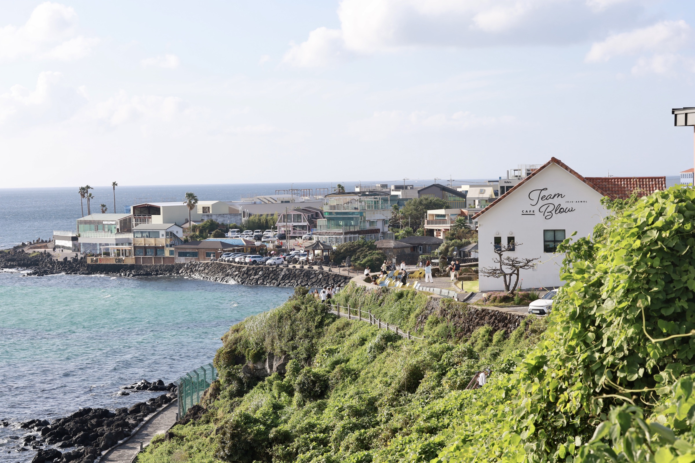 Photograph made in Jeju, South Korea, July 2026