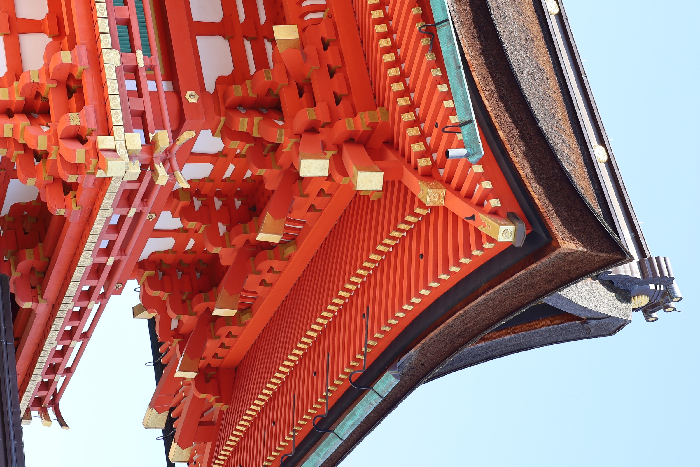 Photograph made in Kyoto, Japan, July 2023