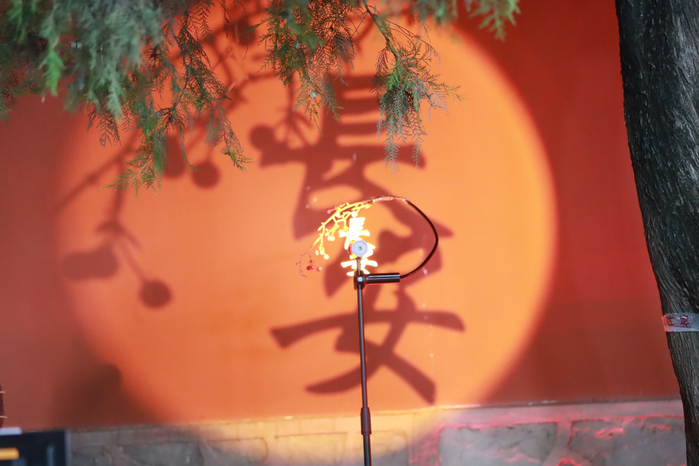 Photograph made in Xi'an, China, July 2024